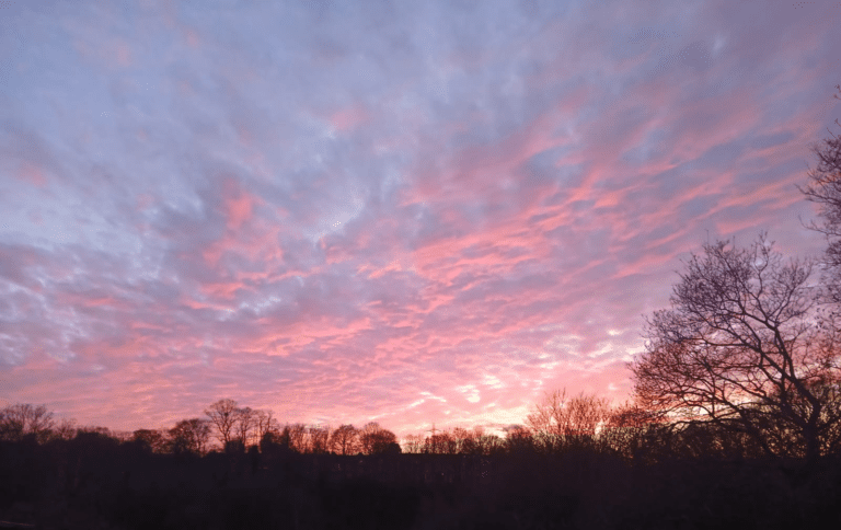 December 2025 newsletter