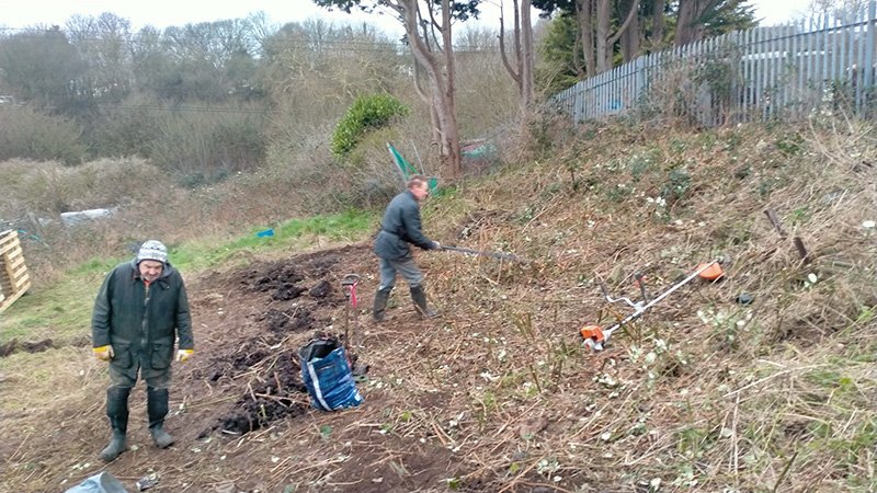 Some FOBB volunteers working on the allotment