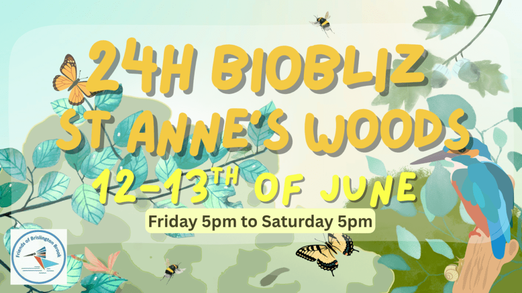 24 hour Bioblitz in St Anne's Woods - Friday 5pm to Saturday 5pm, 12th - 13th June